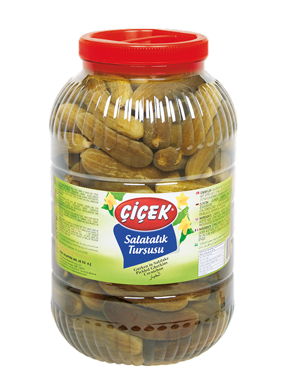 Pickled Cucumber - 5 Kg
